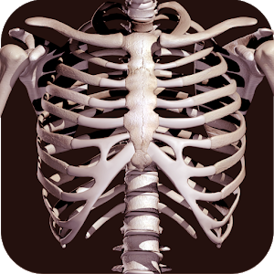 Osseous System in 3D (Anatomy) For PC (Windows & MAC) | Techwikies.com