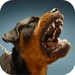 Dog Sounds For PC (Windows & MAC)