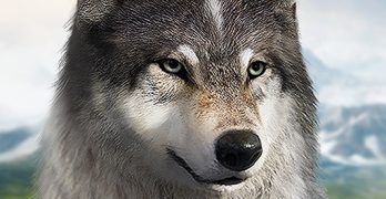 Wolf Game: The Wild Kingdom